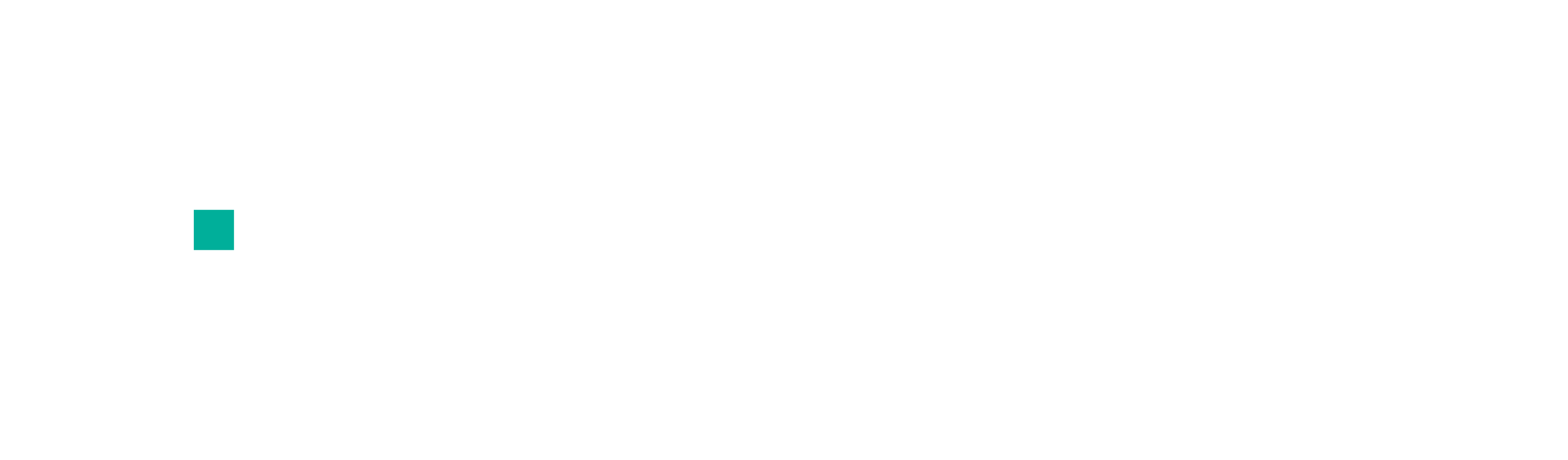 partner
